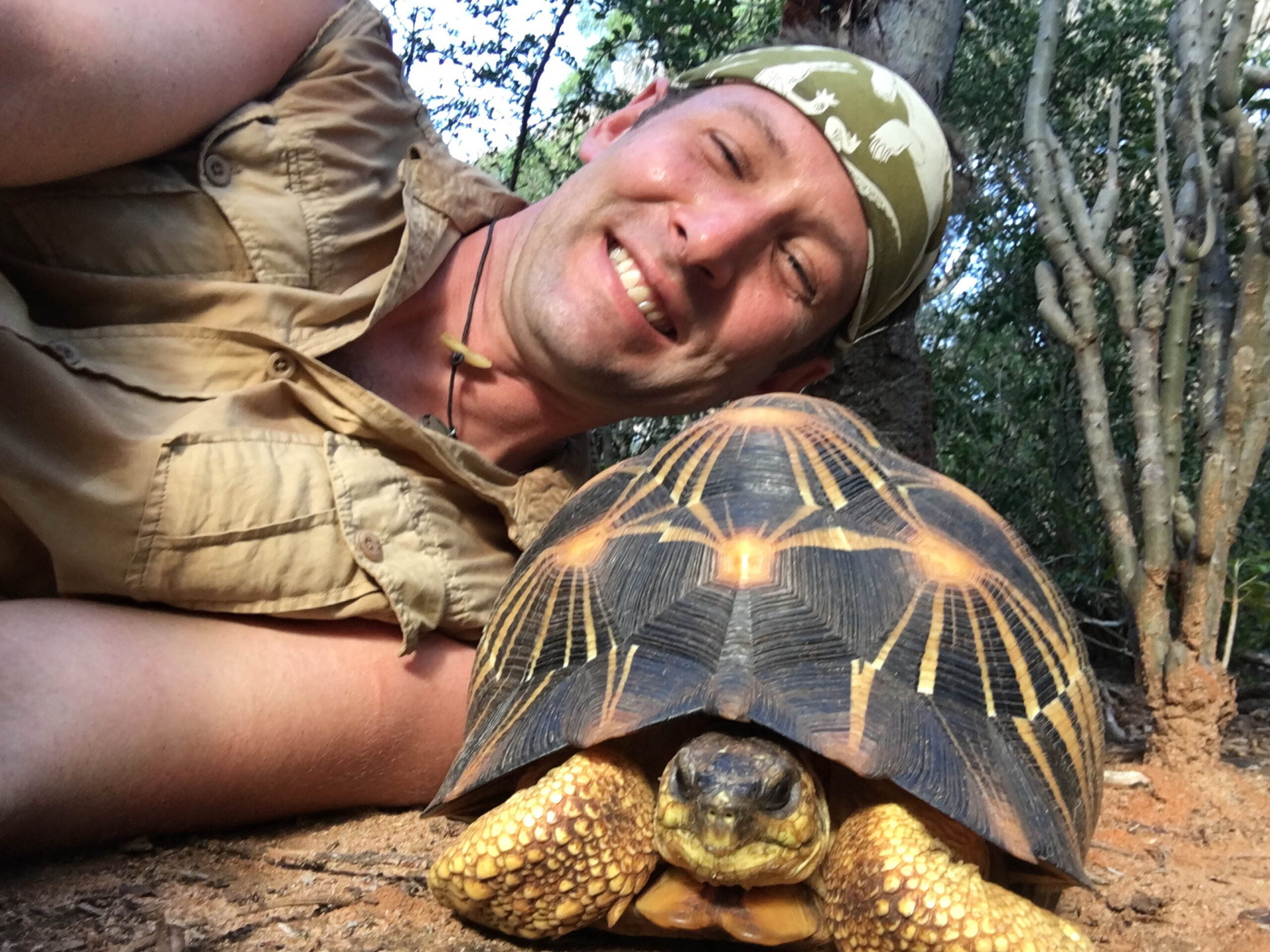 Radiated-Tortoise-Madagascar1