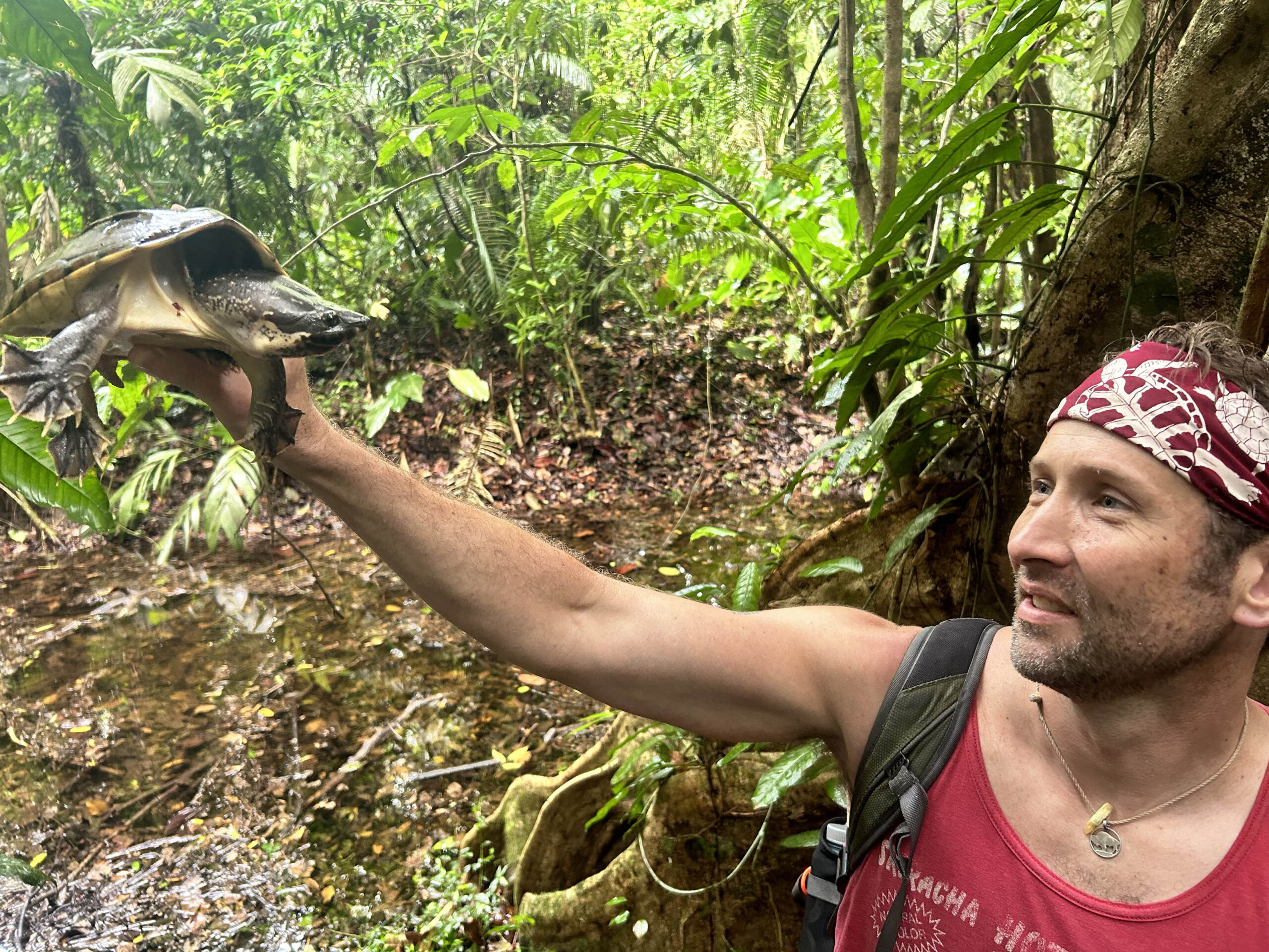 Turtle-Survey-Belize-Rainforest2