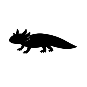 axolotl_profile