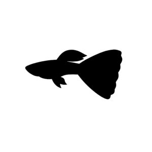 guppy_profile