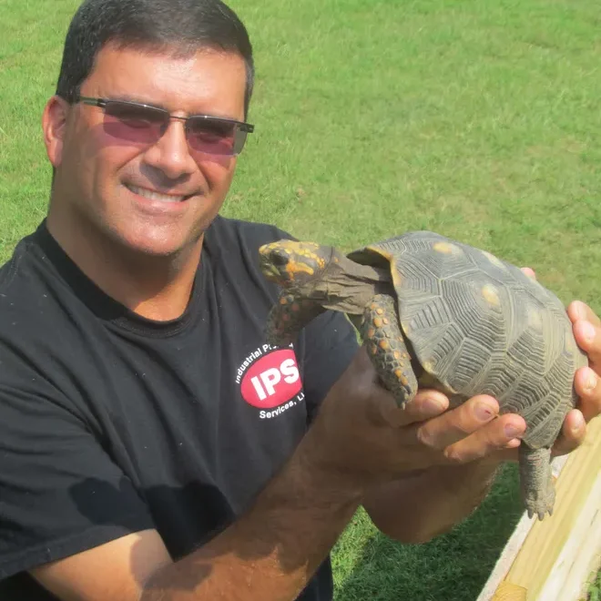 rick rego turtle